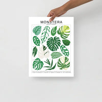 Tableau d'identification des espèces de Monstera - Impression d'art botanique pour plantes d'intérieur - Beehive 95 Designs