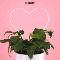 Treillis métallique « Give Love » en forme de cœur - Mossify