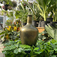 Vase sofia - avec petit embout - couleur vert-doré - HG10177