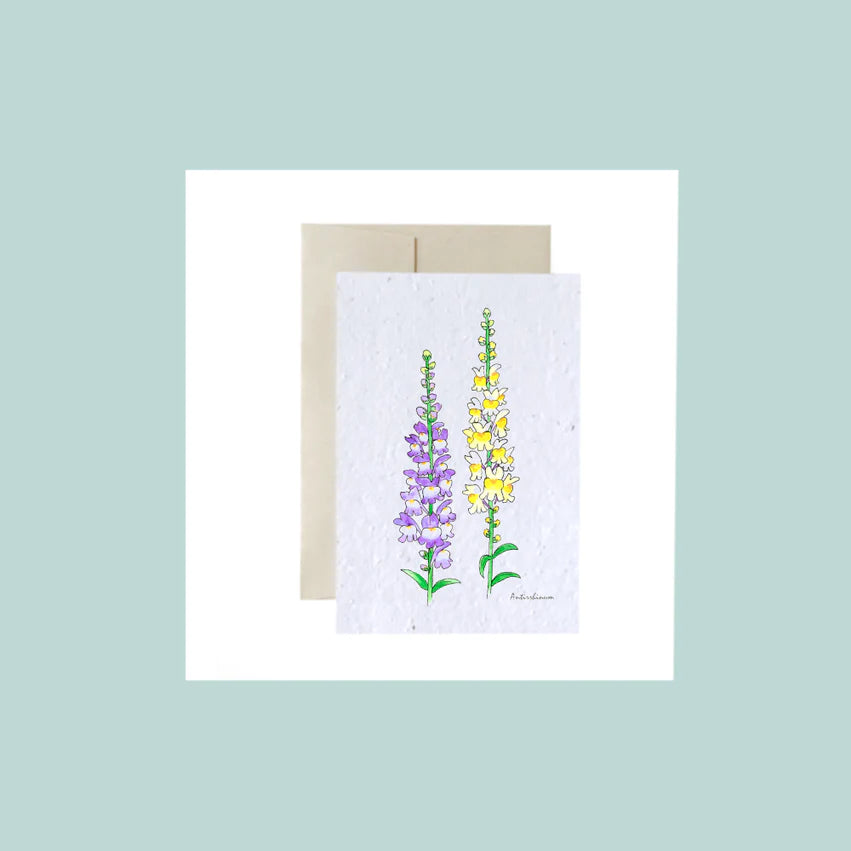 Muflier | Mini-Carte à semer Flowerink