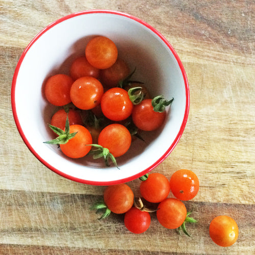 Sachet de semence BIO -  Tomate cerise Petit moineau - Ecoumene