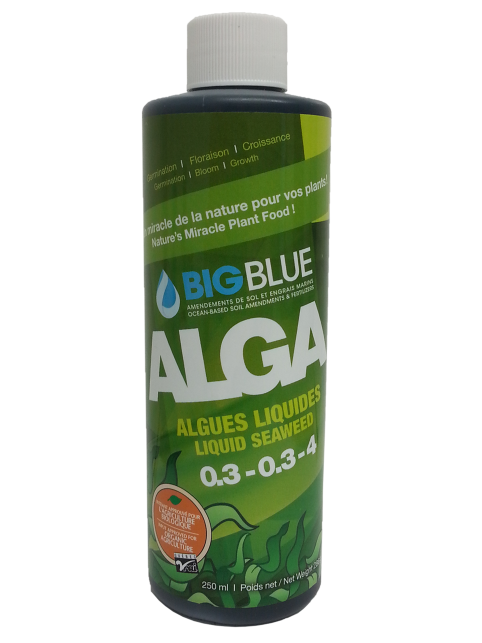 Nuway  ALGA (algues liquides)