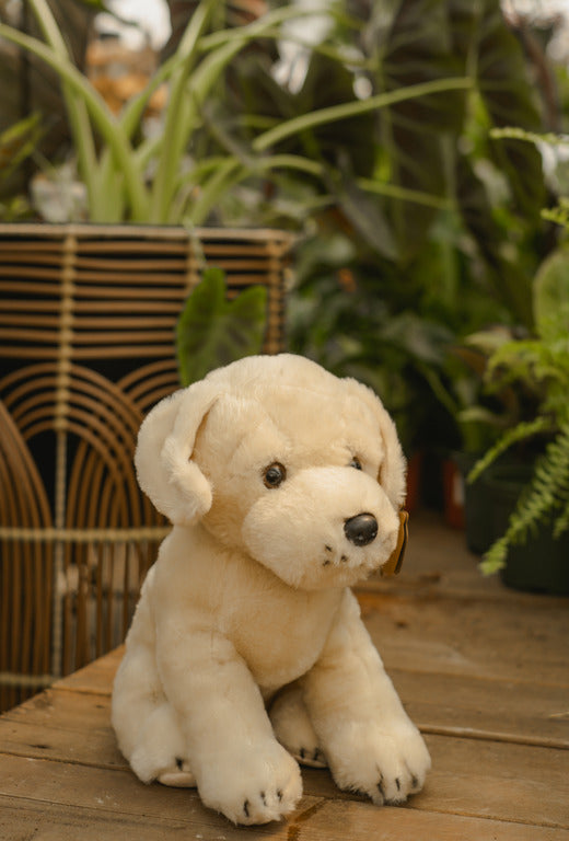 Peluche chien Labrador - 12 pouces