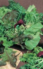 Sachet de semences - Mélange à Mesclun- Salad Greens – OSC