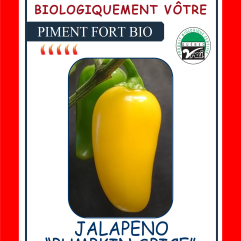 Sachet de semences - Piment fort Jalapeno jaune BIO - Biologiquement Vôtre