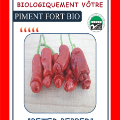 Sachet de semences - Piment fort Peter pepper BIO - Biologiquement Vôtre
