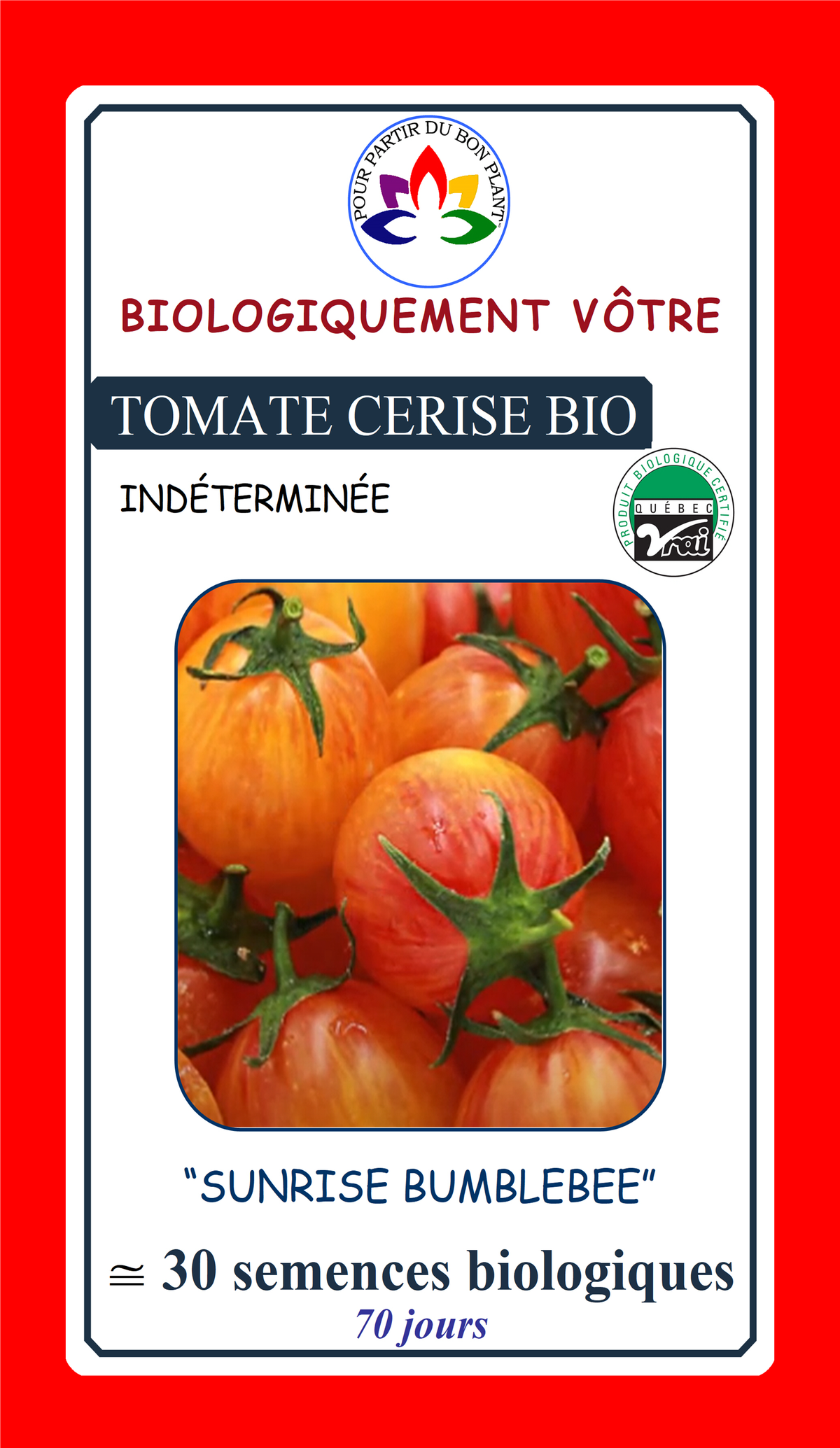 Sachet de semences - Tomate cerise Sunrise Bumblebee BIO - Biologiquement Vôtre