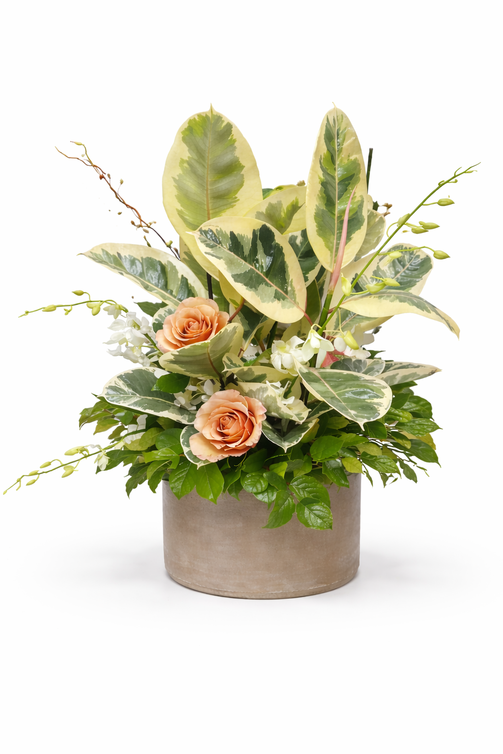 Arrangement avec plante : 10-31