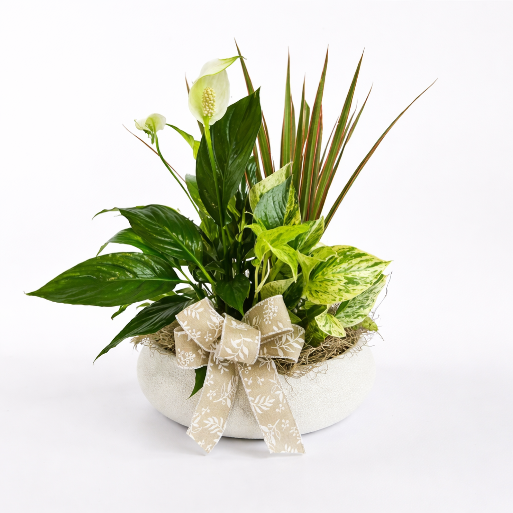 Arrangement avec plante : 10-32