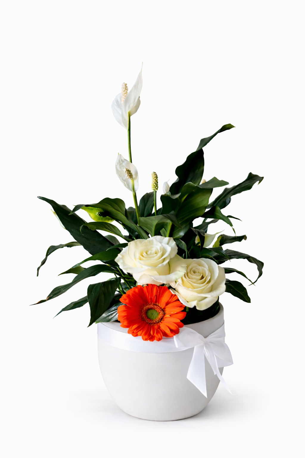 Arrangement avec plante : 10-33