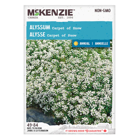 Semence - Alysse Carpet of snow - Mckenzie