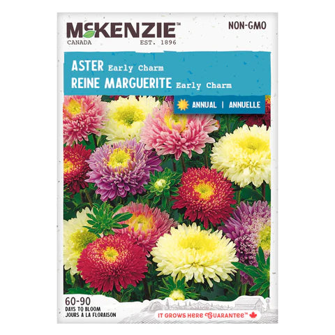 Semence - Reine marguerite Early charm - Mckenzie