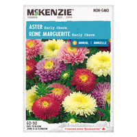 Semence - Reine marguerite Early charm - Mckenzie