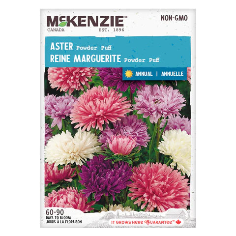 Seed - Aster Power Puff - McKenzie
