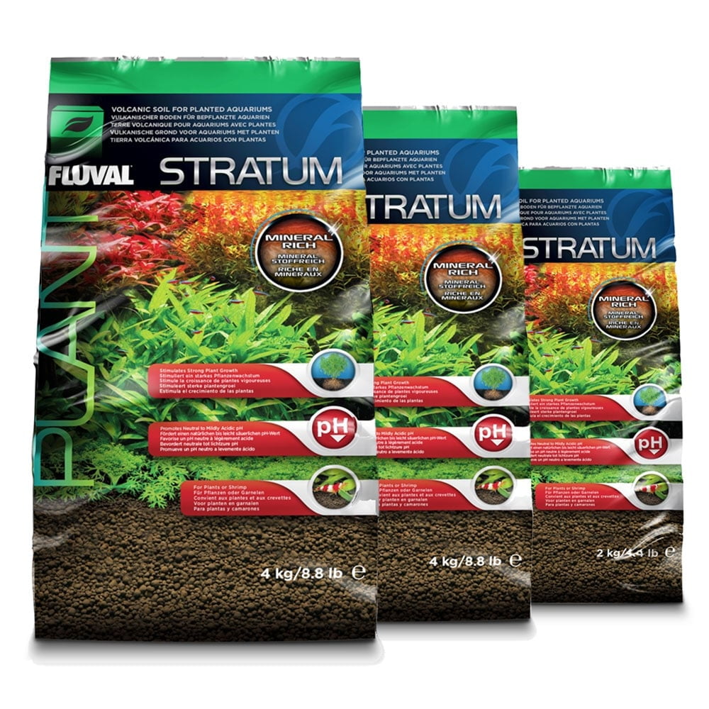 Stratum