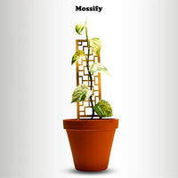 Treillis En Bois Pour Plantes Grimpantes – Lot De 4 – Support Pour Pots Intérieur – Décoration Plantes D Treillis En Bois Pour Plantes Grimpantes – Lot De 4 – Support Pour Pots Intérieur – Décoration Plantes D
