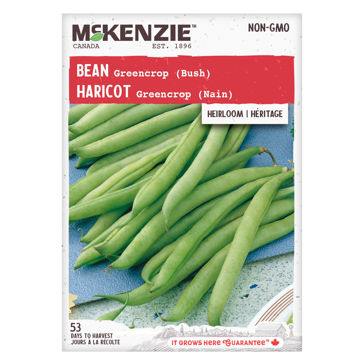 Seed - Greencrop Bean (Dwarf) - McKenzie