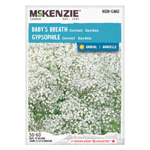 Semence - Gypsophile Covent garden - Mckenzie