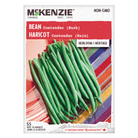 Seed - Bean Contender (dwarf) - McKenzie