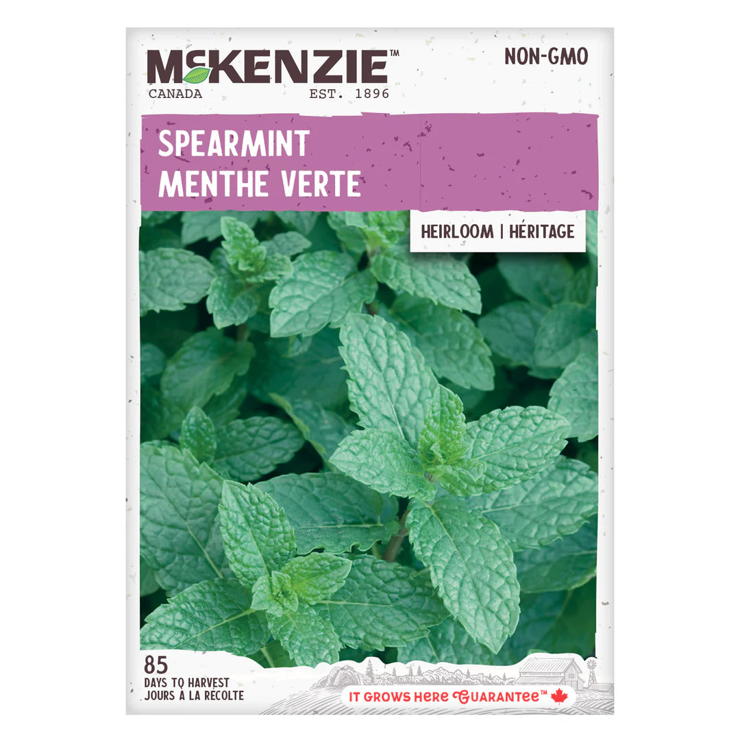 Semence - Menthe verte - Mckenzie