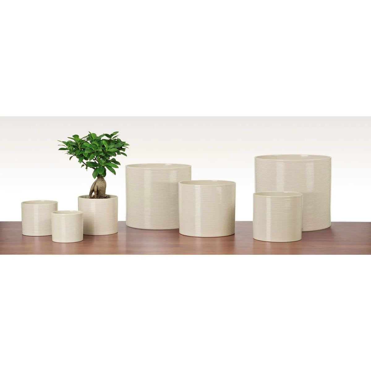 Pot Cylindre 16 cm / 6,5" en céramique sésame