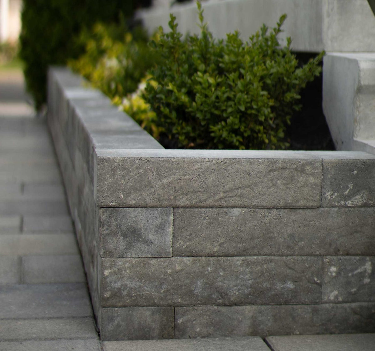 Muret et bordure Moderno - Patio Drummond