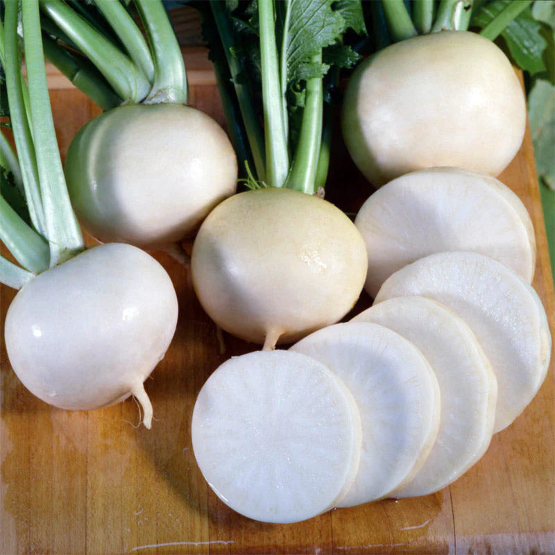 Turnip seed - White Lady - bulk