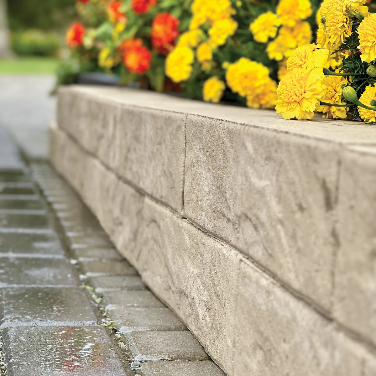 Muret et bordure Moderno - Patio Drummond