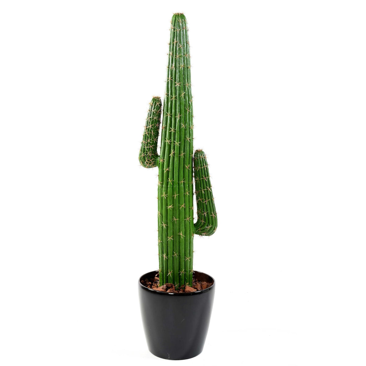 Cactus Mexicain artificiel