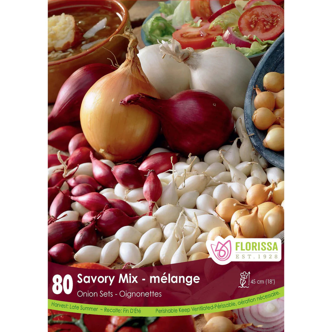 Oignons mix en vrac- onion
