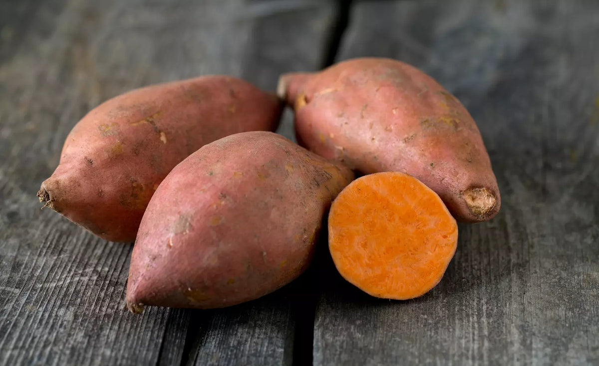 Patate douce en pot