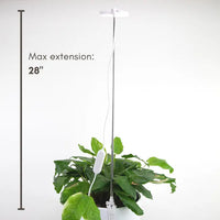 Lampe LED réglable pour plantes - Mossify