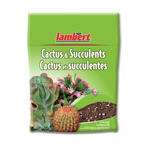 TERREAU D'EMPOTAGE, CACTUS & SUCCULENTS, SAC (4.4 lt)