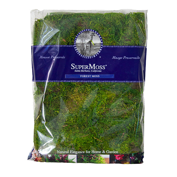 MOUSSE DE FORÊT PRÉSERVÉE, VERT, SAC(16 oz)