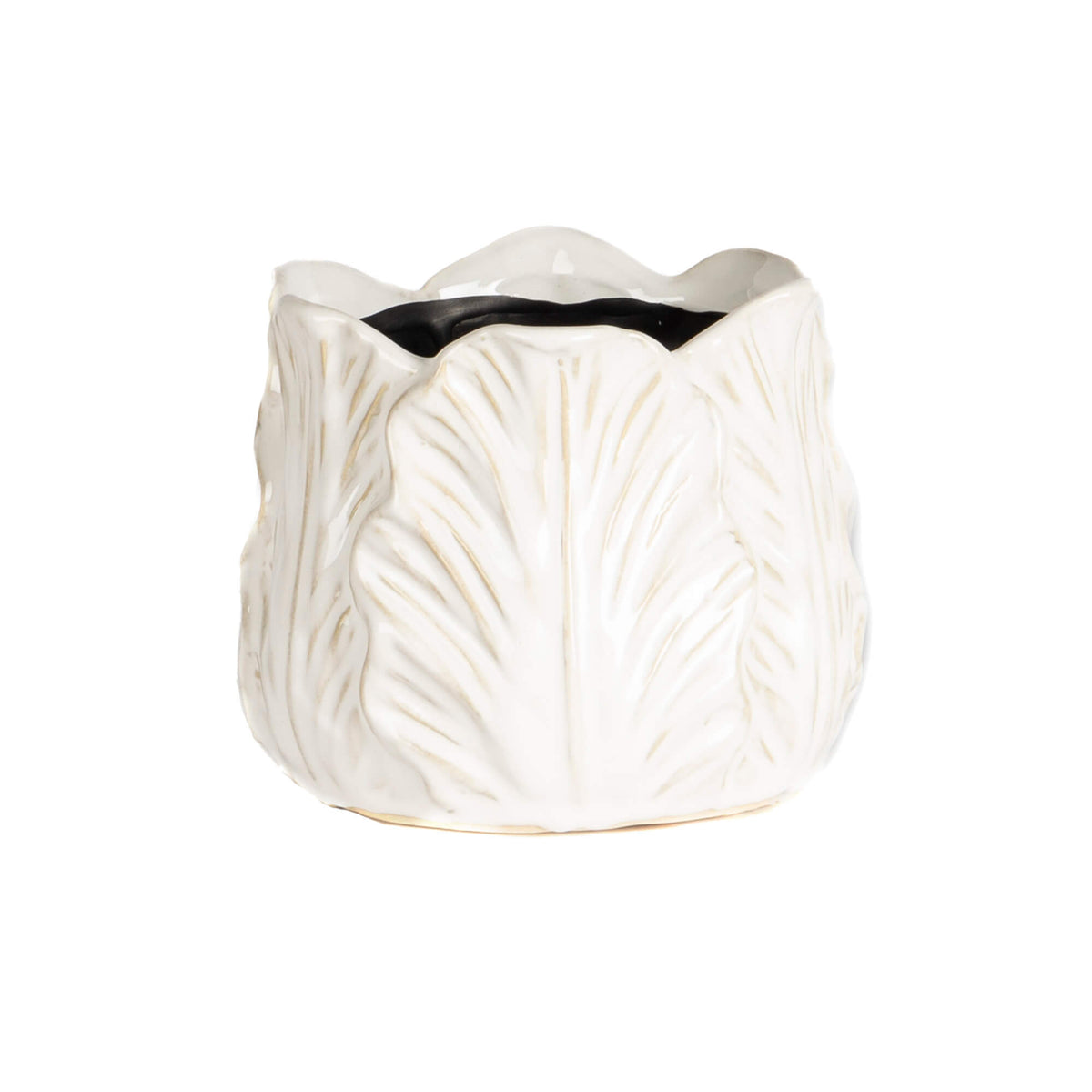 PETIT POT DE FEUILLES DE CHOU CRÈME 5.5D 5H