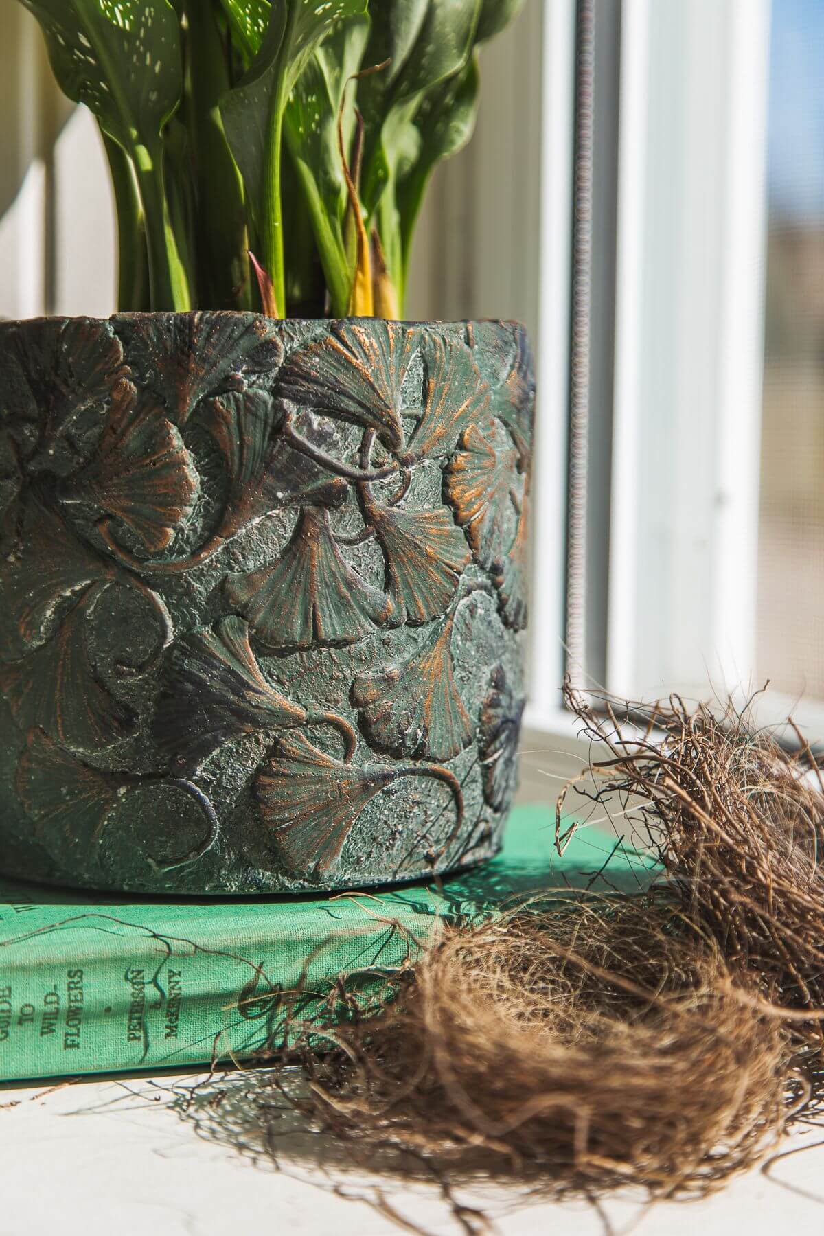 POT-CIMENT EN GAUFRAGE DE FEUILLES DE GINKGO VERT 5.5D 5.25H