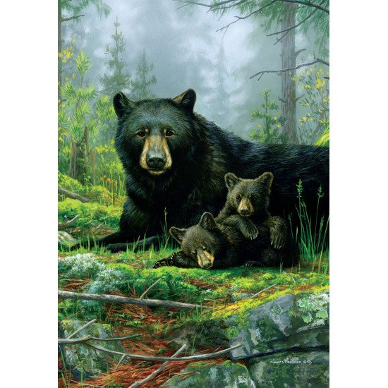 Drapeau Three Bears - ours
