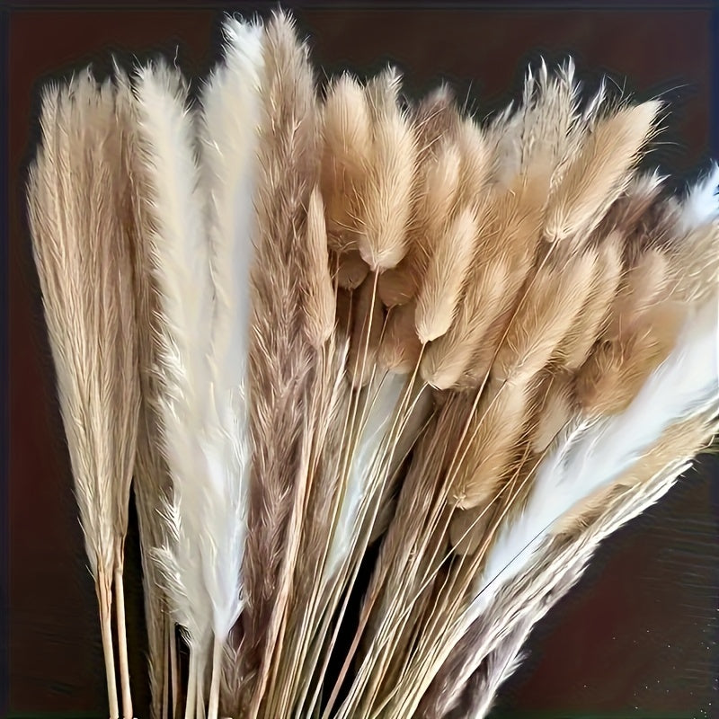 Bouquet séché mix, pampas, queue de lapin