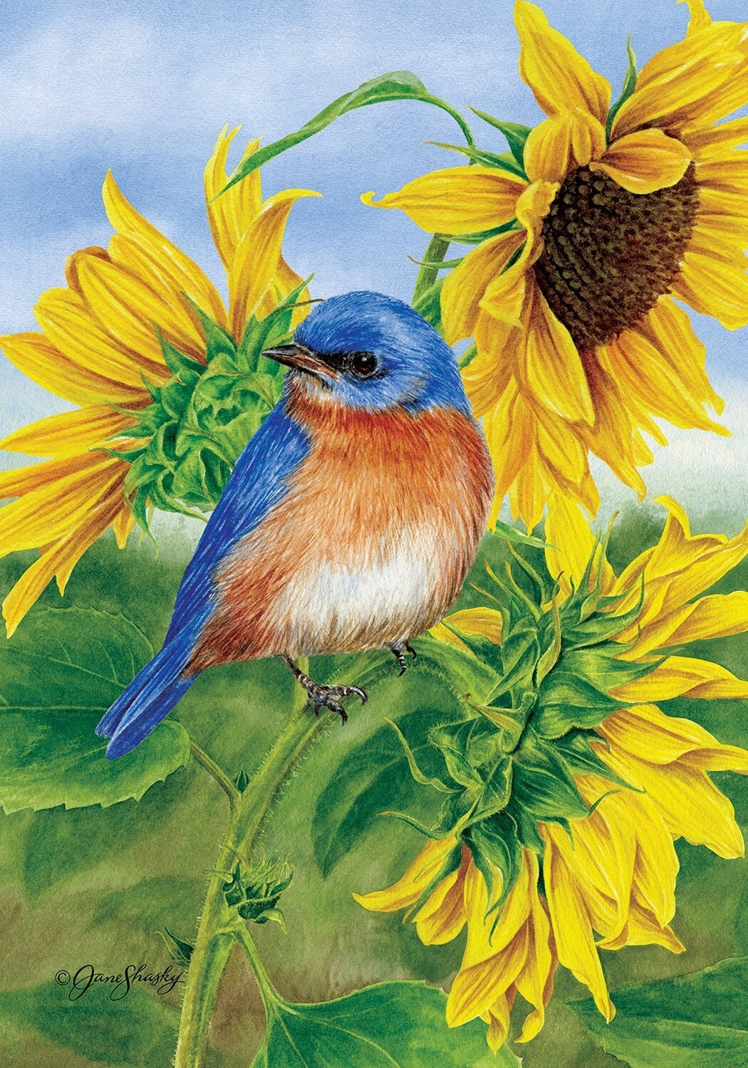 Drapeau Bluebird Sunflower