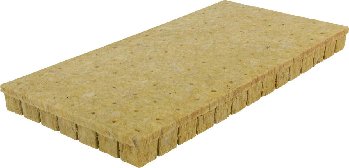 Cube de Laine de roche - 98/tray 1.5''x1.5''x1.5'' unité de propagation