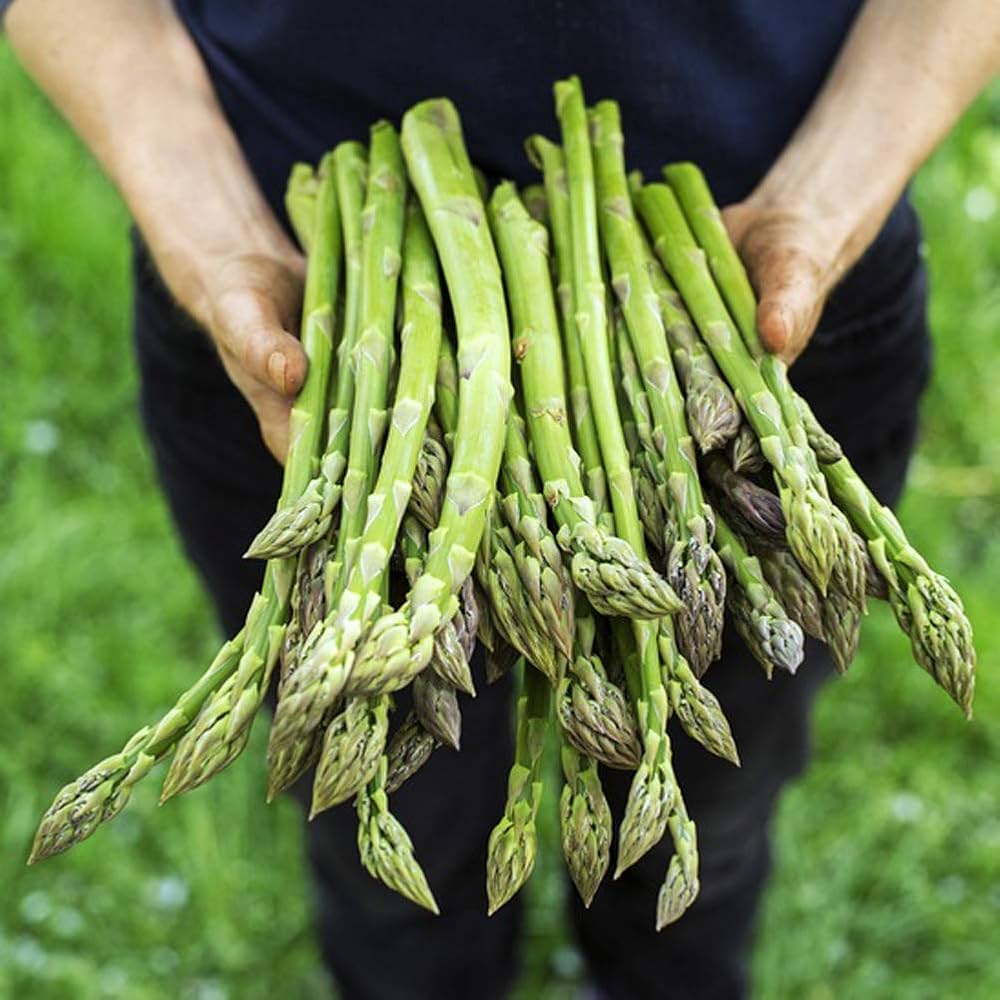 Asperges fraîches biologiques