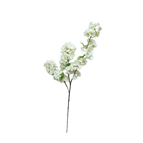 BRANCHE DE CERISIER EN FLEURS, BLANC, 45"