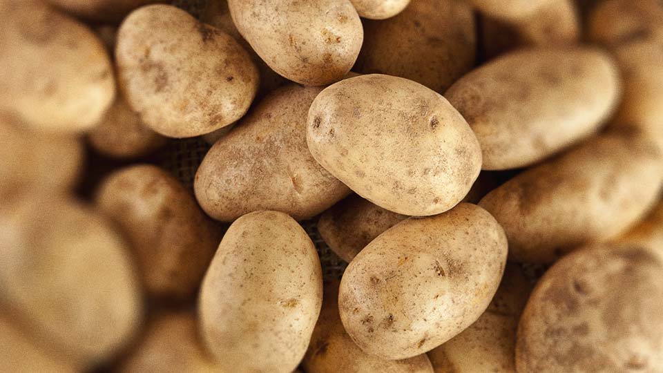 Patate en vrac