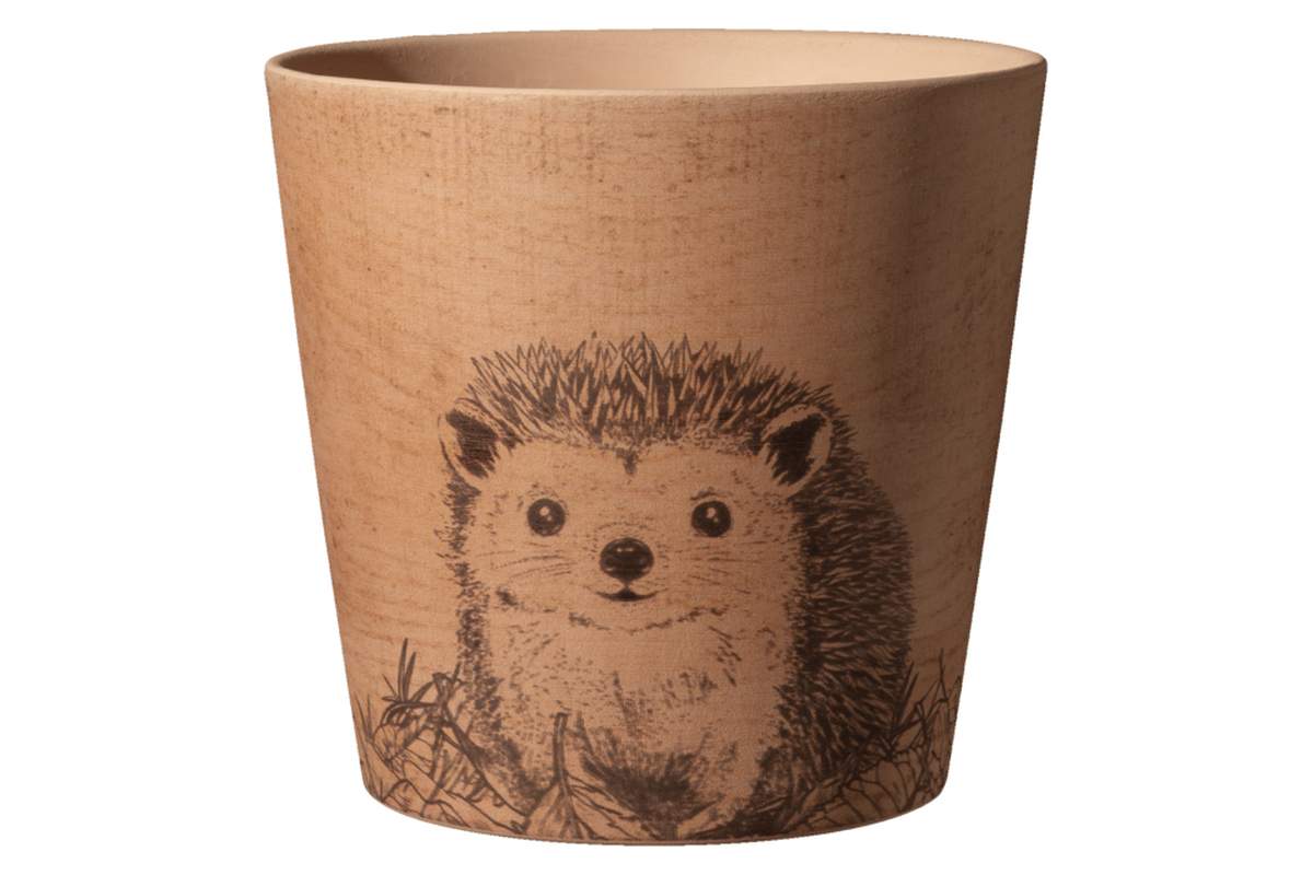 Pot dallas forest friends, herisson, 14cm