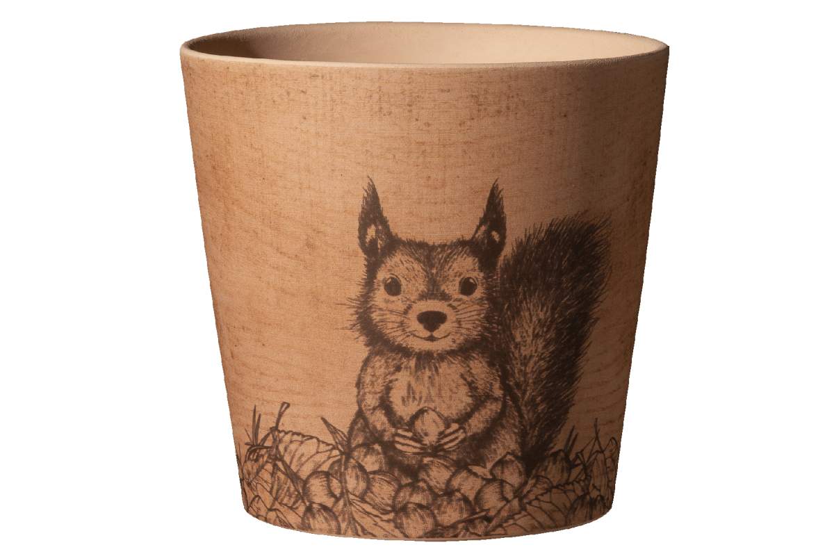 Pot dallas forest friends, ecureuil, 14cm