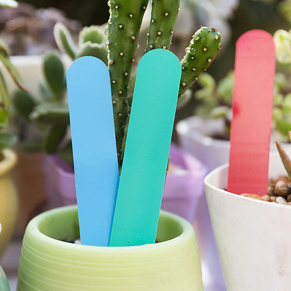 Pic à fleurs - étiquette de plastique pour plantes