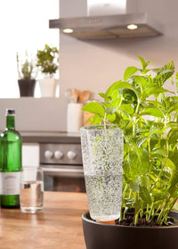 Réservoir eau - Olla - en plastique - Plast Copa 24cm/9.5"XL Asst