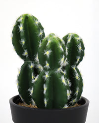 CACTUS EN POT, VERT, 6¼" ,artificiel