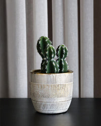 CACTUS EN POT, VERT, 6¼" ,artificiel