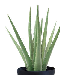 ALOE VERA EN POT, VERT, 10½" artificiel